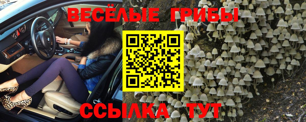 Псилоцибиновые грибы прущие грибы Грозный