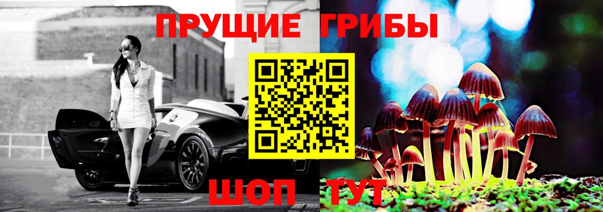 Грозный  Псилоцибиновые грибы мухоморы  Вход с VPN 